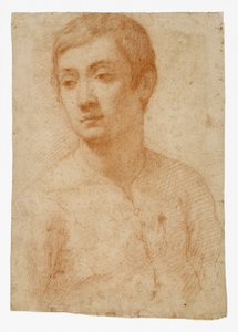 Egy fiatal feje, 1600-25 körül (piros kréta fektetett papíron) alkotó: Domenico Cresti