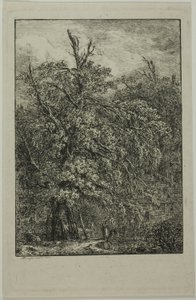 Nagy fa alkotó: Domenico Quaglio
