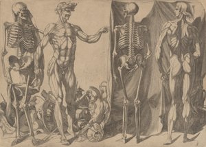 Két nyúzott ember és csontvázaik, kb. 1540-45.