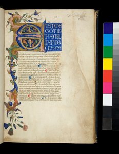 Ms 373. Pseudo-Cicero, Rhetorica ad Herennium és egyéb művek, f.1r. Megvilágított kezdő [E] és részleges szegély akantuszlevél- és virágdíszítéssel, a szöveg első sora fehér nagybetűkkel kék alapon, 1337 körül (pergamen)