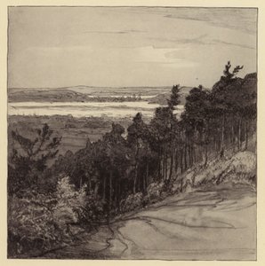 Poole kikötője Parkstone felől (litográfia)