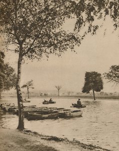 On Blackheath, Greater Londons Most Historic Common, 1935. alkotó: Donald McLeish
