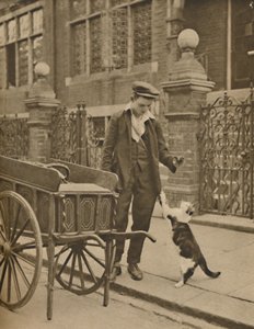 Az egyik legjobban bevált mesterség: Egy vásárló és a macskahúsos ember, 1935. alkotó: Donald McLeish