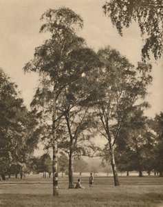 A levelek csipkemunkája: Nyári reggel a Hyde Parkban, 1935. alkotó: Donald McLeish