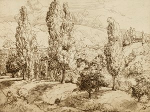 Asolo mezői alkotó: Donald Shaw MacLaughlan