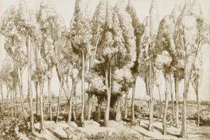 Road Song no. 5 alkotó: Donald Shaw MacLaughlan