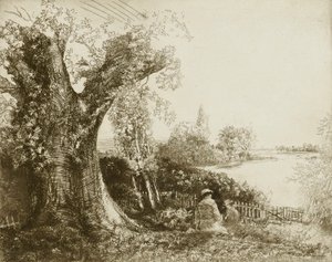 Sussex napok alkotó: Donald Shaw MacLaughlan