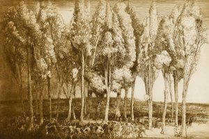 A tavasz tánca alkotó: Donald Shaw MacLaughlan