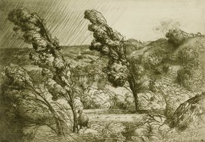 A vihar alkotó: Donald Shaw MacLaughlan