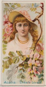Acacia: Chaste Love, a Virágos szépségek és a Virágok nyelve című sorozatból N75 Duk..., 1892.