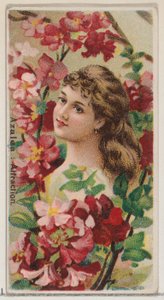 Azalea: Attraction, a Virágos szépségek és a Virágok nyelve sorozatból N75 Duke..., 1892.