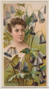 Canterbury Bells: Constancy, a Virág szépségei és a Virágok nyelve sorozatból N75..., 1892.