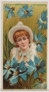 Búzavirág: Szerénység, a Virágszépségek és a Virágnyelv N75 for Duk... sorozatból, 1892.