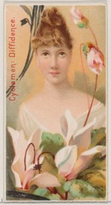 Ciklámen: Diffidence, a Virágszépségek és a Virágok nyelve című sorozatból N75 Du..., 1892. alkotó: Donaldson Brothers