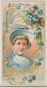 Nefelejcs, a Virágszépségek és a Virágok nyelve című sorozatból N75 Duke Bran..., 1892-ben.