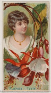 Fukszia: Íz, a Virágszépségek és a Virágok nyelve sorozatból N75 Duke melltartóhoz..., 1892. alkotó: Donaldson Brothers