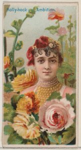 Hollyhock: Ambition, a Floral Beauties and Language of Flowers N75 for Duk... sorozatból, 1892.