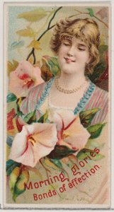 Morning Glories: Bonds of Affection, a Floral Beauties and Language of Flowe... sorozatból, 1892. alkotó: Donaldson Brothers