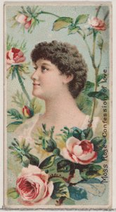 Moharózsa: Szerelmi vallomás, a Virágszépségek és a Virágok nyelve című sorozatból N7..., 1892.