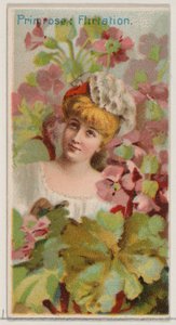 Primrose: Flört, a Virágszépségek és a Virágok nyelve című sorozatból N75 for Du..., 1892. alkotó: Donaldson Brothers