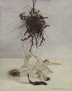 Gyökér alkotó: Donatella Merlo