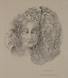 A malakológia alkotó: Donatella Merlo