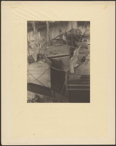 [Kikötő, tele vitorlás halászhajókkal] alkotó: Doris Ulmann
