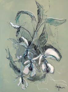Elegáns orchidea-vázlat