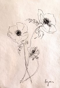 Minimalista virágrajz alkotó: Dorothy Fagan