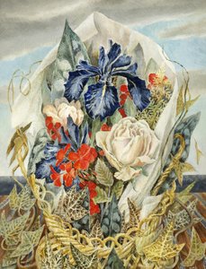 Iris és Rose alkotó: Dorothy M. Larcher