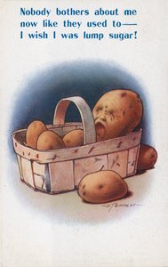 Burgonya (színes litográfia)
