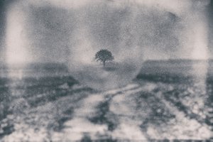 Út a Magányos Fához alkotó: Dragan Drobac