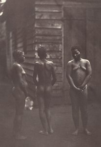 Három madagaszkári nő 30. tábla, 1863.
