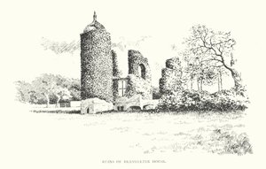 A Brambletye-ház romjai (lithó) alkotó: Duncan Moul