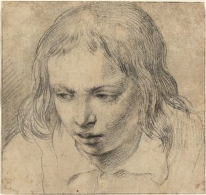 Egy fiatalember feje [recto] alkotó: Dutch 17th Century