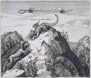 Egy hegy Jiangxi tartományban a Sárkány és a Tigris néven ismert sziklákkal, Kínából Illusztrálta: Athanasius Kircher (1601-80) 1667 alkotó: Dutch School