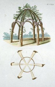 Egy lugas, G. van Laar „Magazine of Garden Gems” című könyvéből, 1802-ben (színes metszet) alkotó: Dutch School
