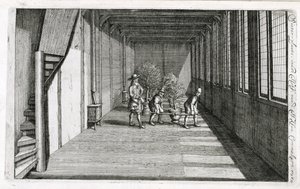 Fák költöztetése a kertbe nyárra, Jan Commelin De Nederlandse Hesperides című művéből, 1676-ban alkotó: Dutch School