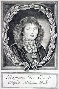 Regnier de Graaf, 1670 körül alkotó: Dutch School