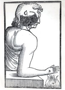 Az érzékek felfogása, Rene Descartes (1596-1650) De Homine Figuris című művéből, amelyet Amszterdamban adtak ki, 1677 alkotó: Dutch School