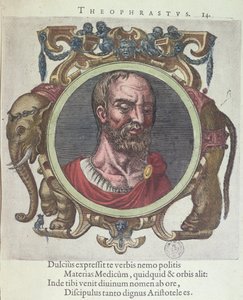 Theophrastus (Kr. e. 372-287), illusztráció a Régi és legújabb fizika és filozófusok könyvéből, Johannes Sambucus (1531-84), Plantin kiadója Leydenben 1603-ban (színes metszet) alkotó: Dutch School