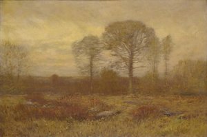 1904-1905 november.