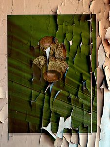  alkotó: EDUARDO LLERANDI