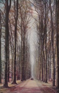 Hollandia, 1930-as évek