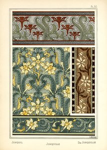 A Jonquil
