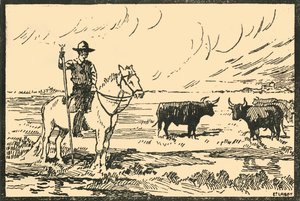„Camargue-i ​​táj – Camargue-i ​​kilátás”, 1920-as évek.