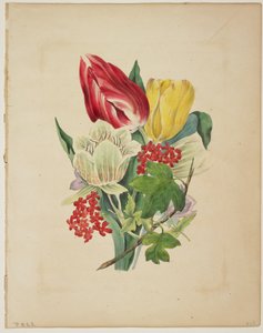 Tulipáncsokor, Flora szótárából, 1838