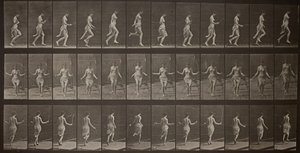 Animal Locomotion, 174. tábla, 1887. alkotó: Eadweard Muybridge