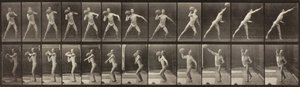 Animal Locomotion, 319. tábla, 1887. alkotó: Eadweard Muybridge