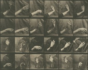 Animal Locomotion, 535. tábla, 1887. alkotó: Eadweard Muybridge